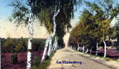 Am Rinnenberg